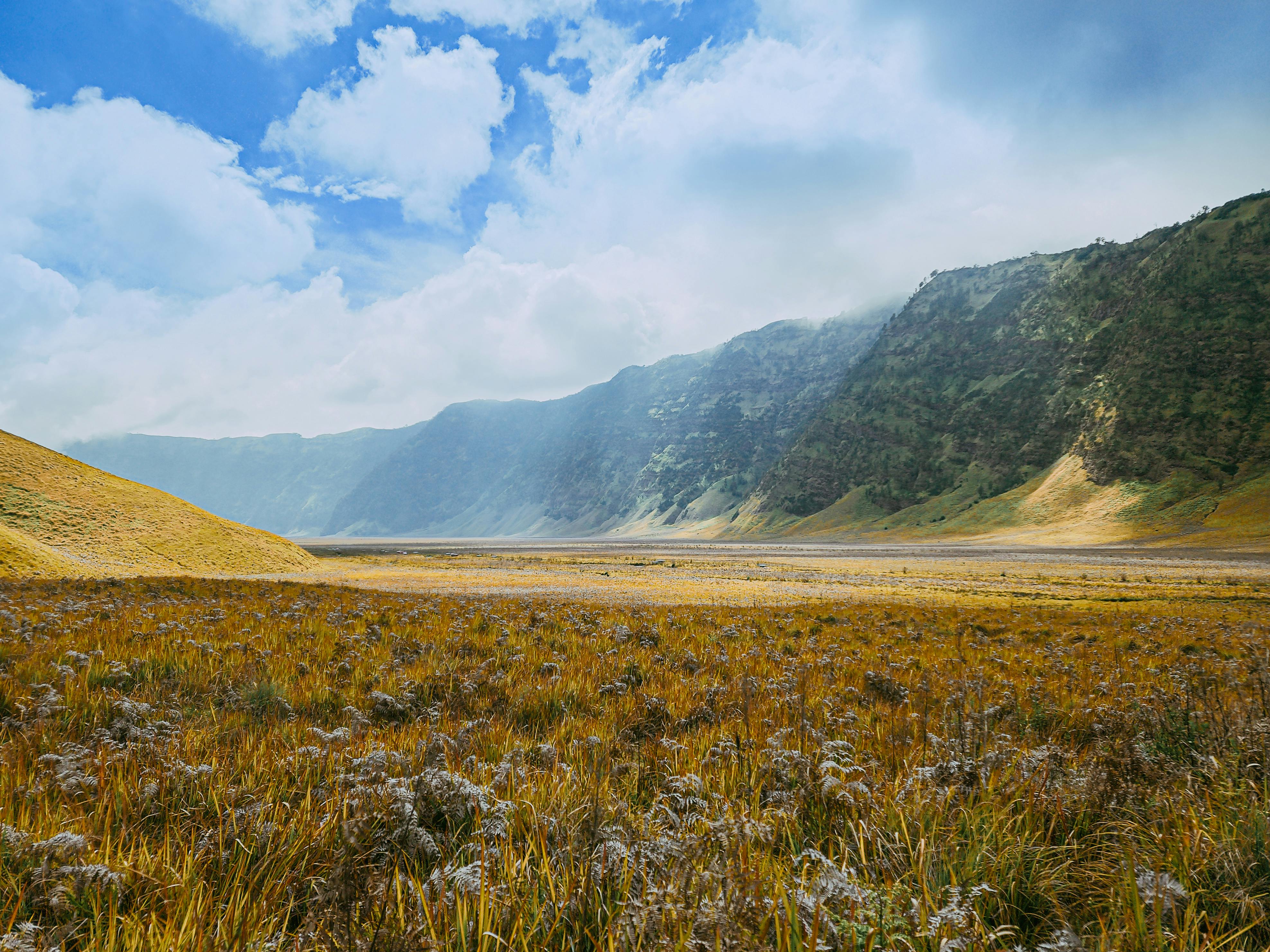 Image de décoration